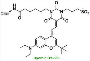 Bio-Synthesis Inc. Oligo Structure